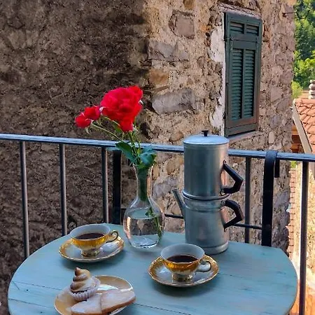 Sax & Rosa * Pigna