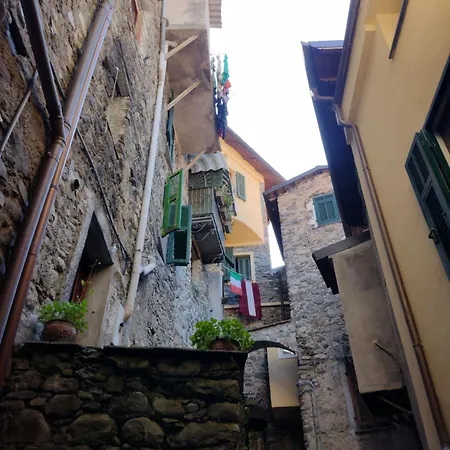 Sax & Rosa * Pigna